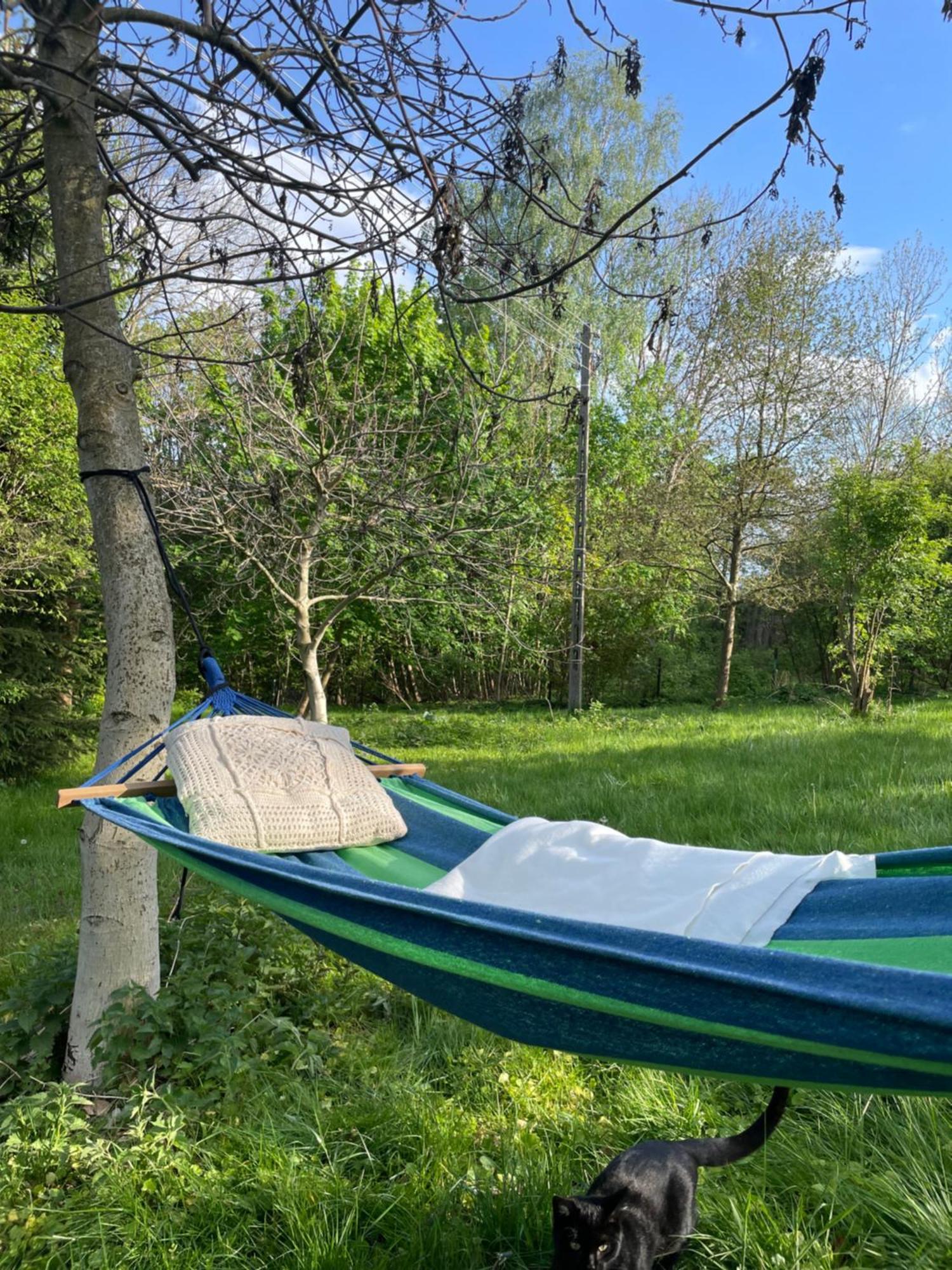 Dziejba Izerska Farm stay Giebultow (Lwowek Slaski)