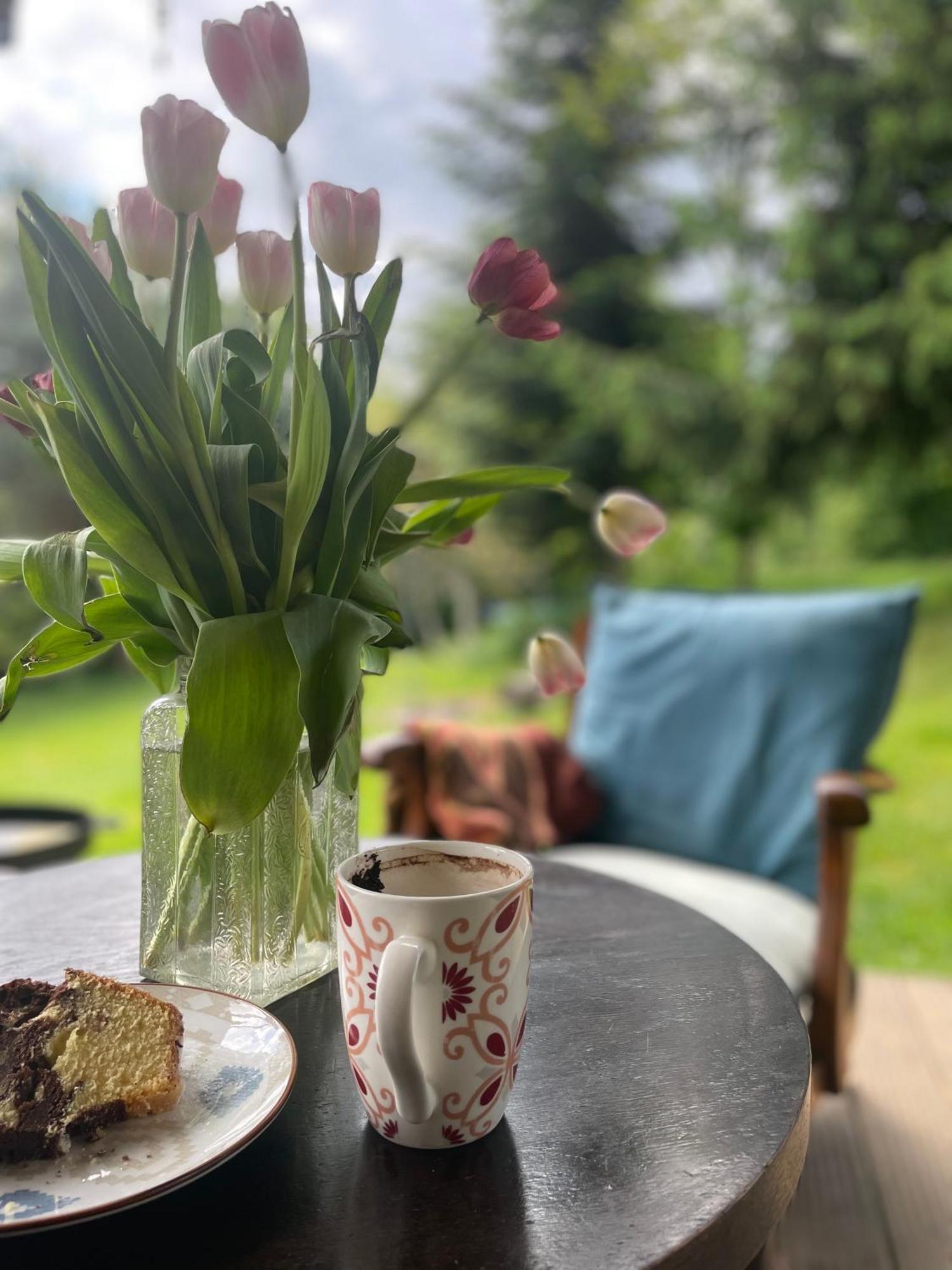 Dziejba Izerska Farm stay