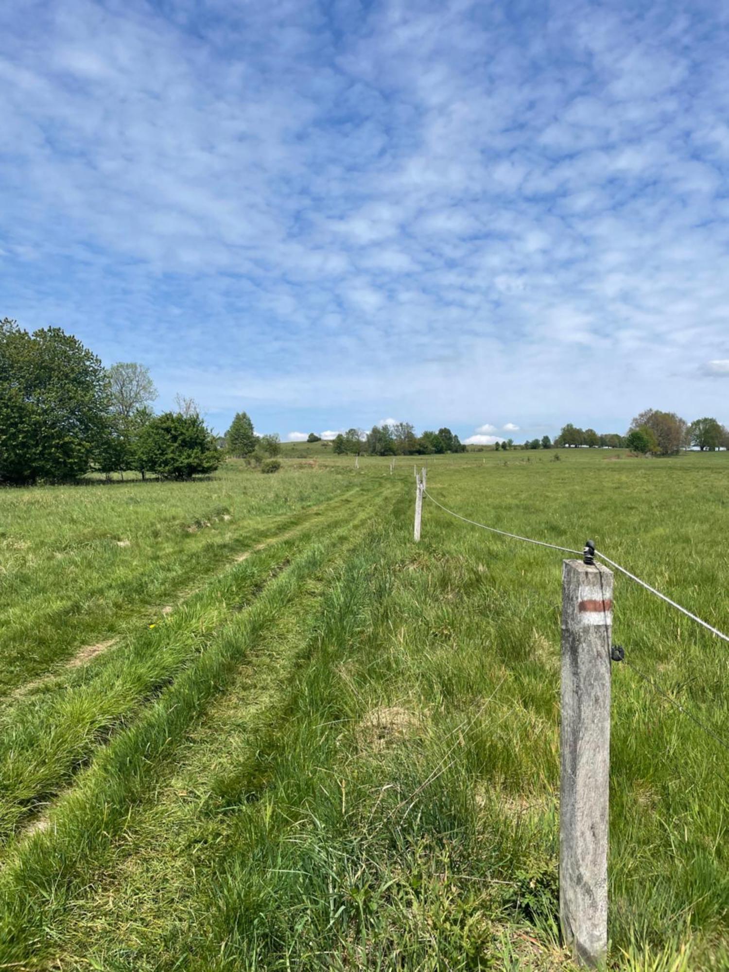 Dziejba Izerska Farm stay *