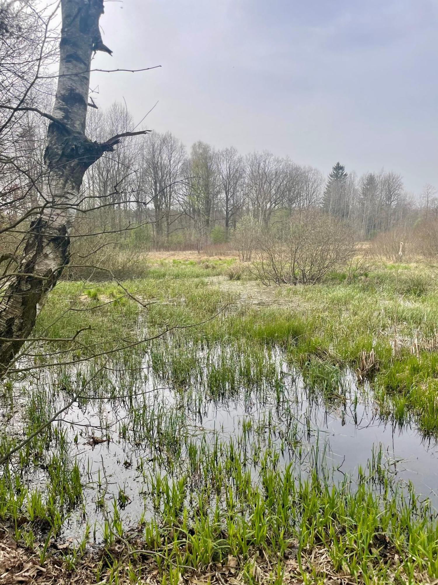 Farm stay Dziejba Izerska Giebultow (Lwowek Slaski)