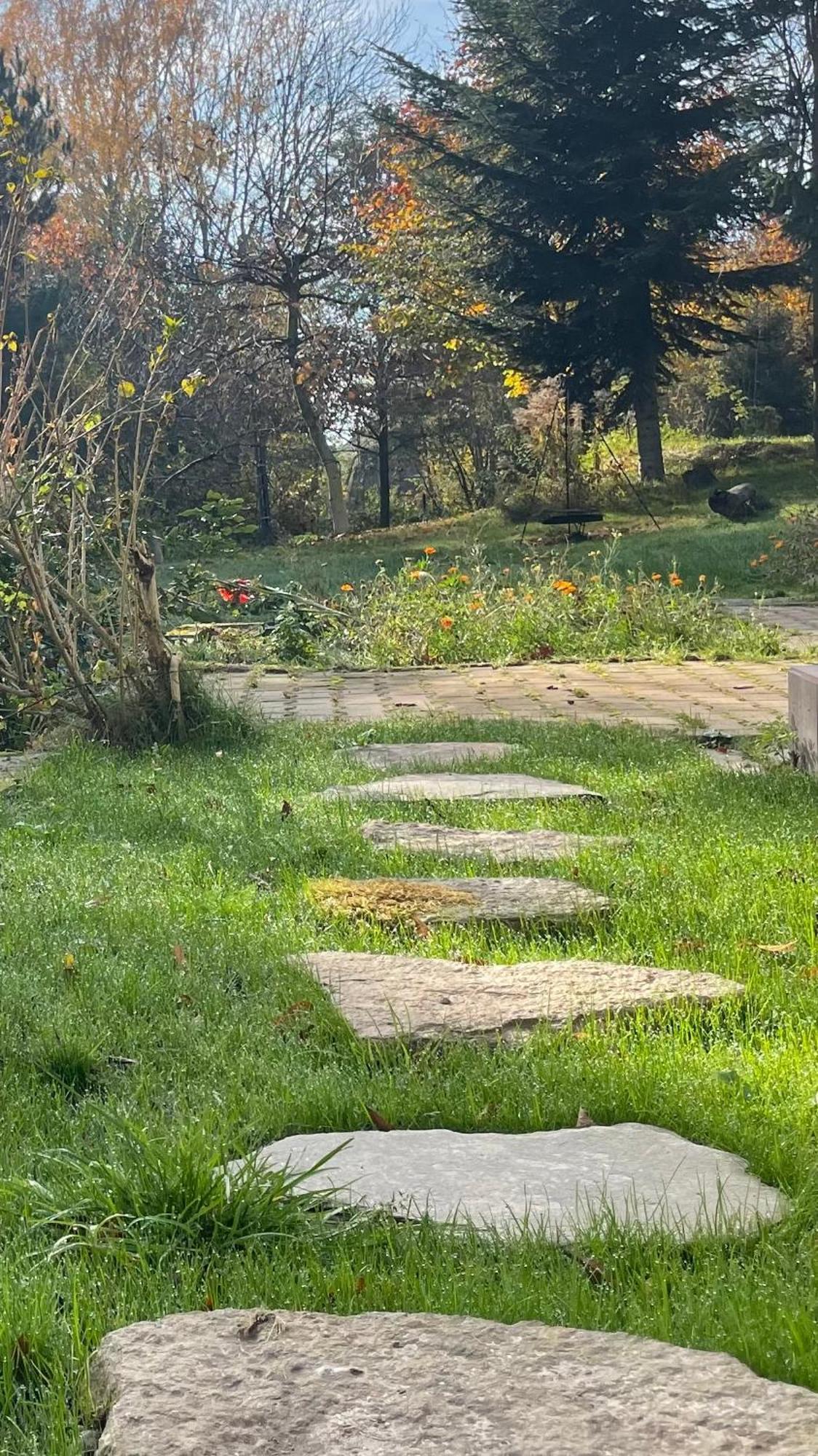 Farm stay Dziejba Izerska Giebultow (Lwowek Slaski)